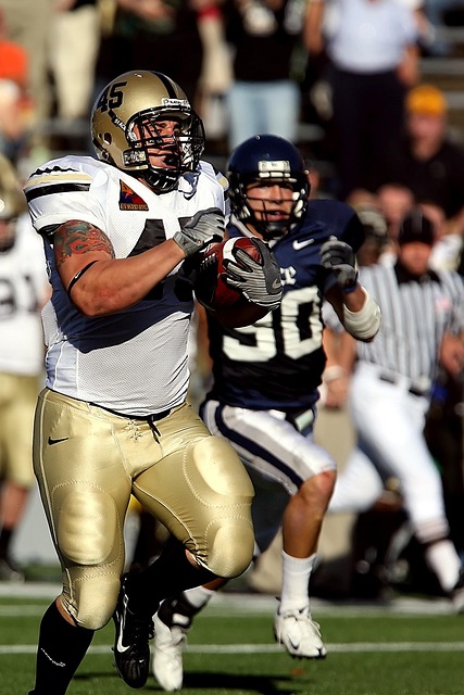 这不仅为队 这不仅为队